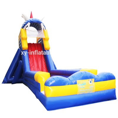 Large Inflatable water slide for adult Big inflatable slides inflatable pool water slide